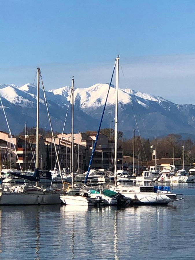 L'Ecume Apartman Saint-Cyprien Kültér fotó